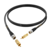 Digital Interconnect