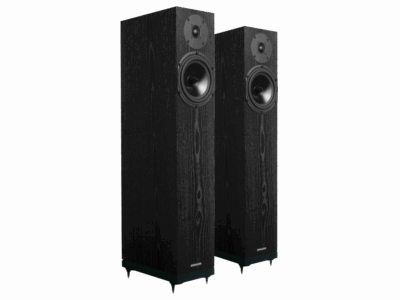 Hauts parleurs Spender A4.2 Black Oak